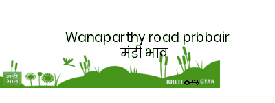 Mandi Image